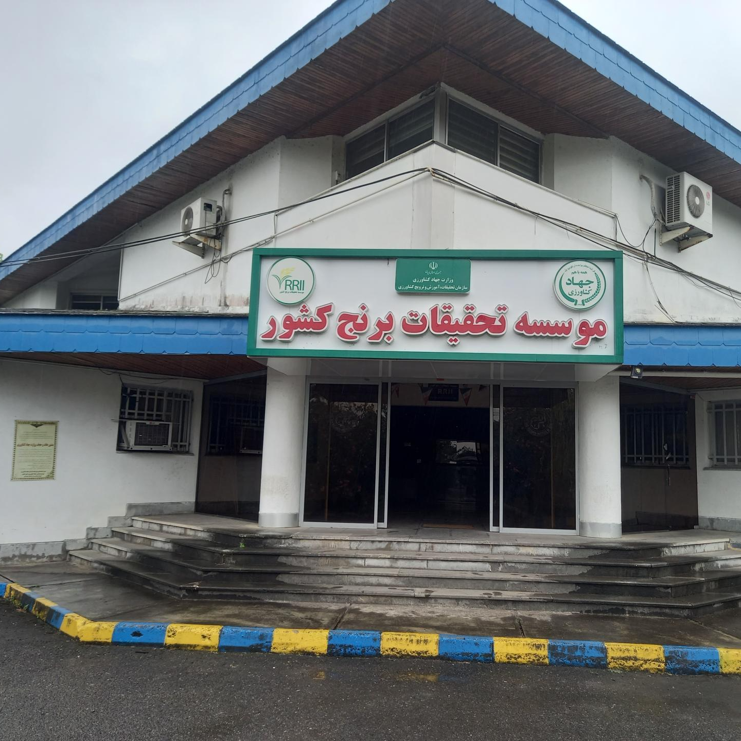 موسسه تحقیقات برنج کشور