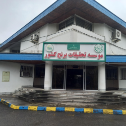 موسسه تحقیقات برنج کشور